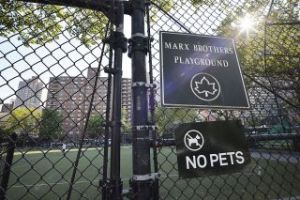 MARX