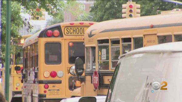 School Bus